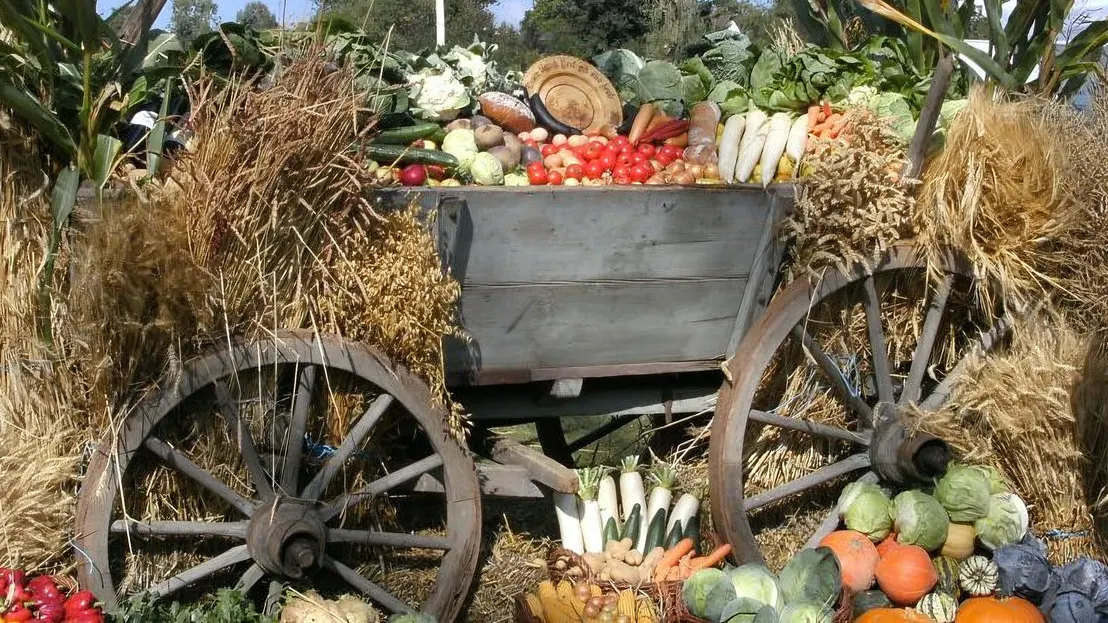 Usinger Laurentius Markt